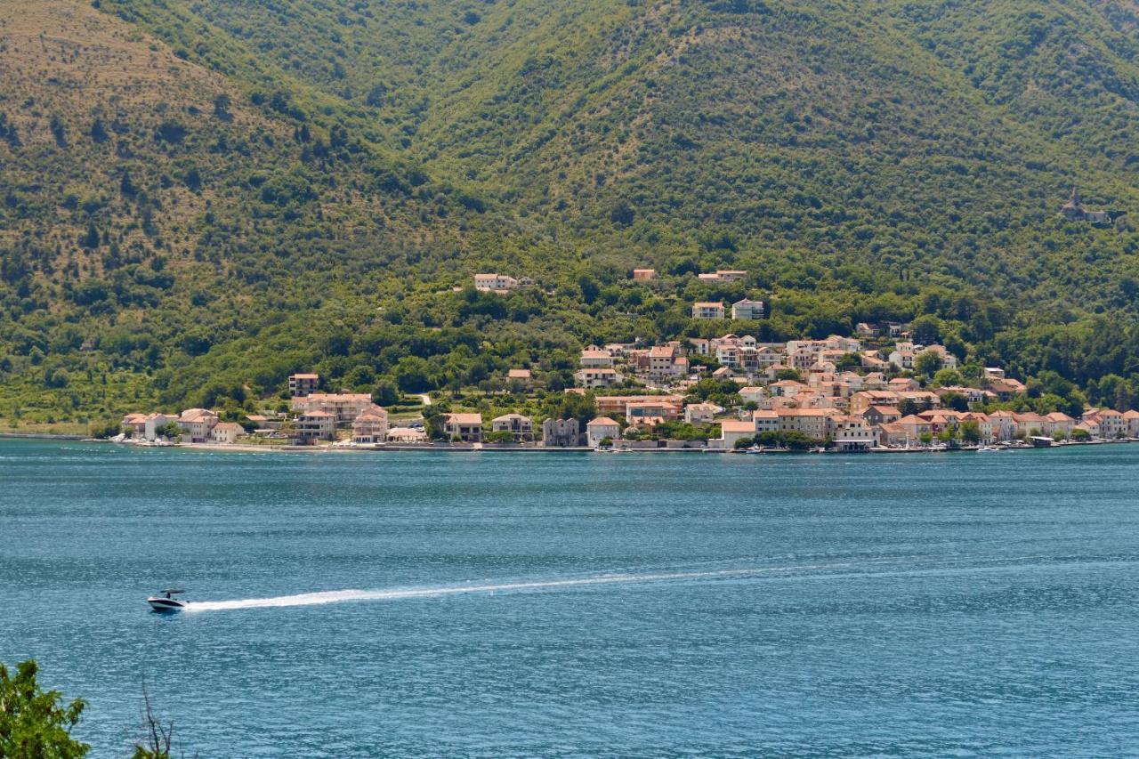 Iva'S Sea View Balcony Apartment Kotor Ngoại thất bức ảnh